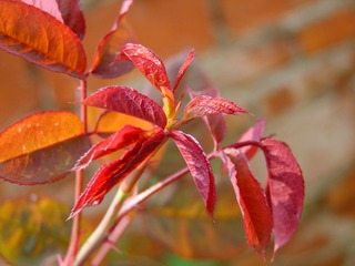 2008_01240141