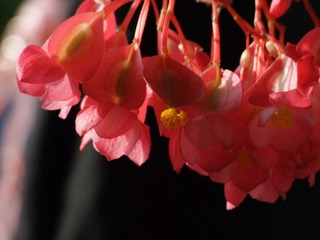 2009_07220078
