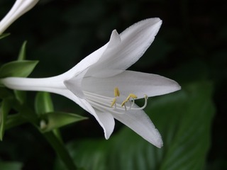 2009_08070027
