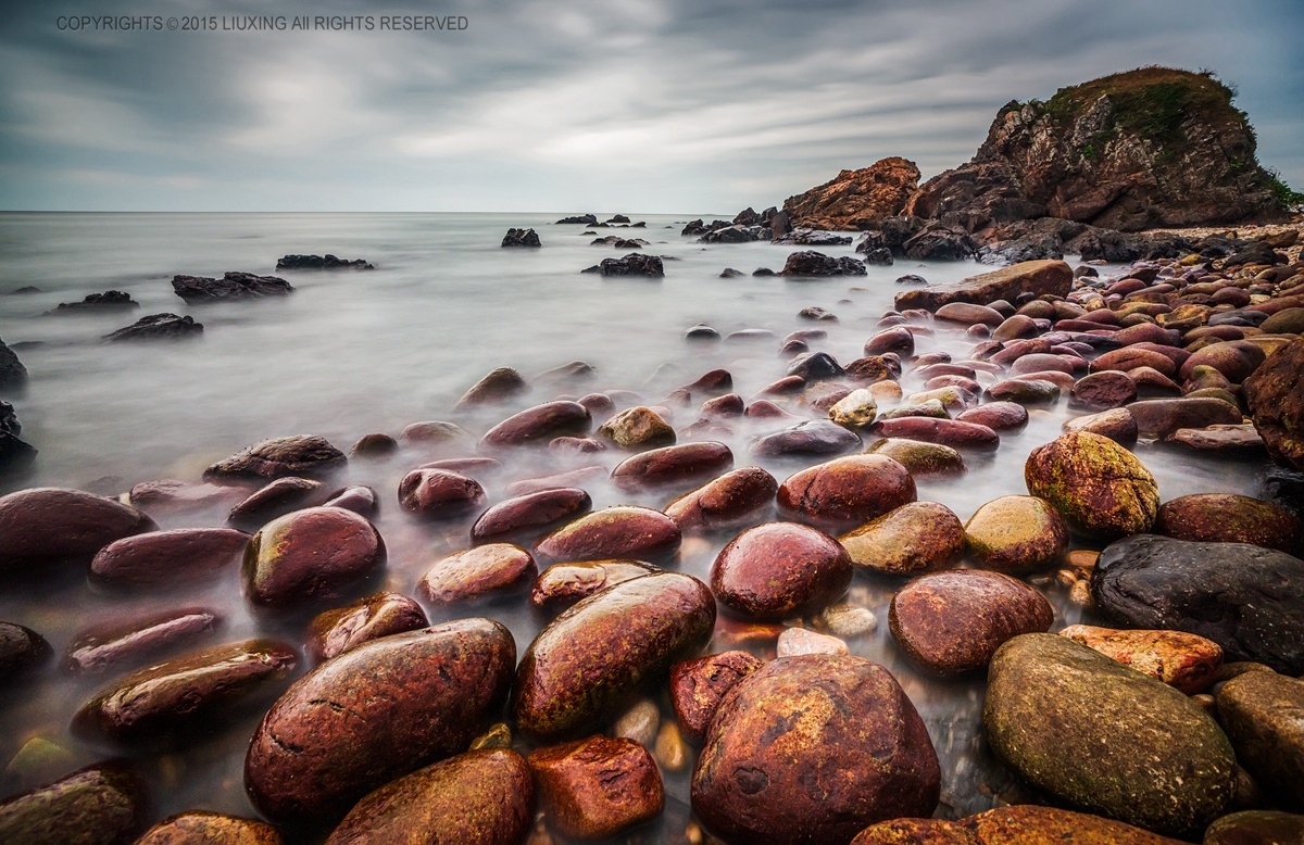 8 za ssm (sal1635z) or carl zeiss vario-sonnar t* 16-35mm f2.