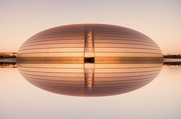 《金 蛋》