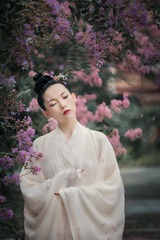《紫薇花开》