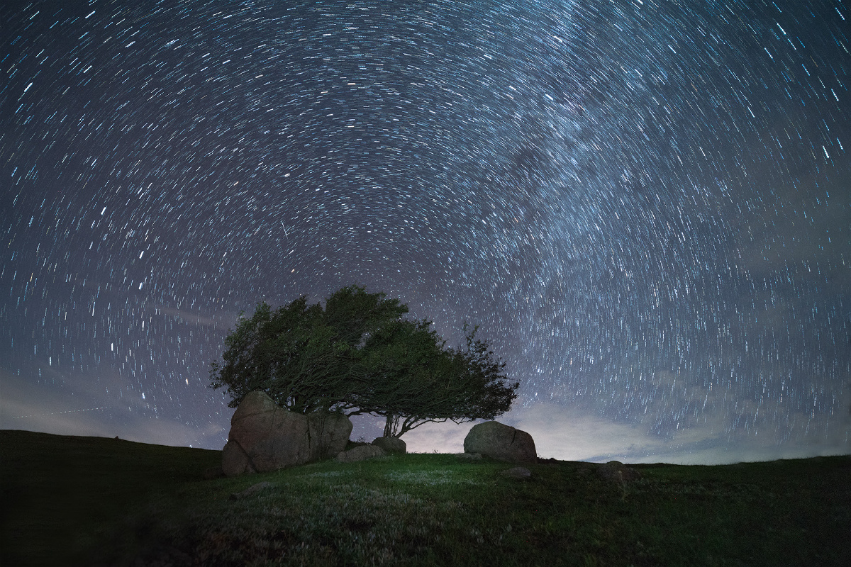 星空下的许愿树