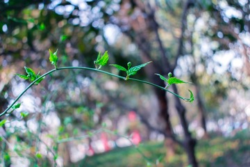 _DSC1598