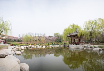 全景图4