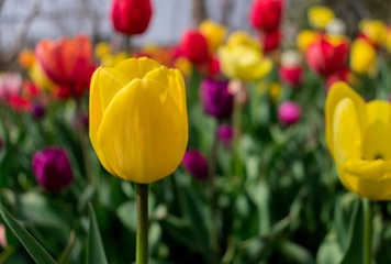 _DSC2503