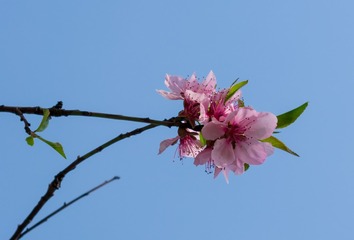 _DSC3760