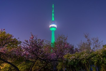_DSC4262