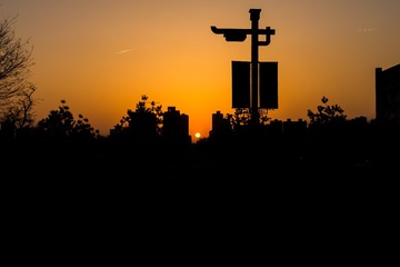 _DSC2959