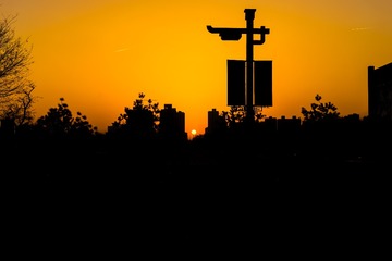 _DSC2959_1