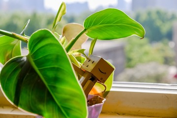 _DSC6425_1