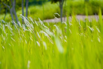 _DSC7759