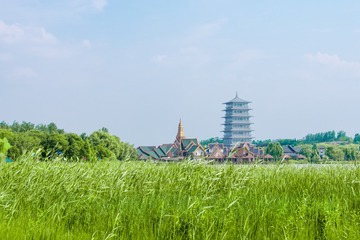 _DSC7696_1