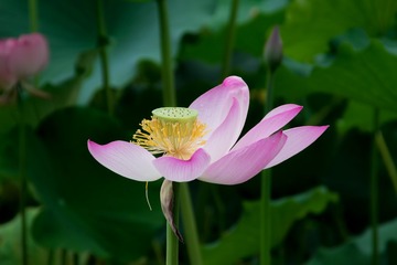 _DSC1570