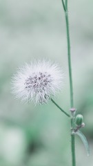 _DSC0399