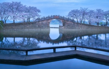 DSC_2957 拷贝