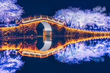 DSC_2913 拷贝