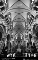 DSC_3330.jpg