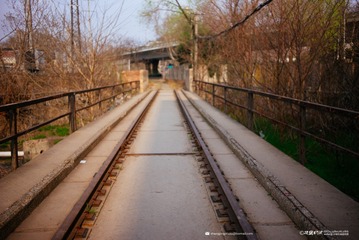 L1000299
