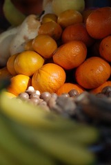 DSC_0464+.jpg