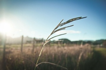 IMG_4553.jpg