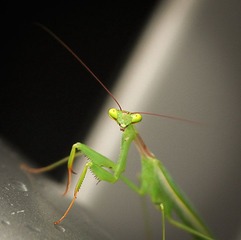 IMG_5144.jpg