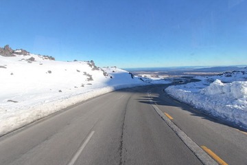 IMG_6307.jpg
