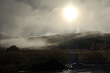 IMG_7684.jpg