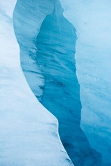 IMG_8486.jpg