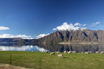 IMG_9135.jpg