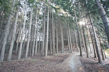IMG_1230.jpg
