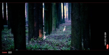 IMG_1542_