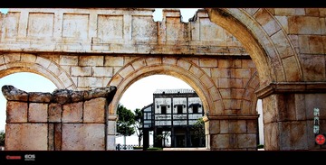 IMG_7772__