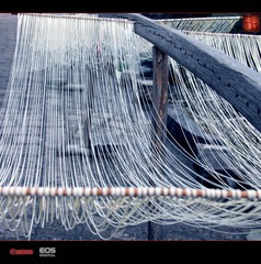 IMG_2426_