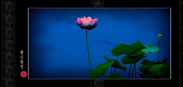 DSC00496__