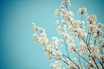 20120407-IMG_0039.jpg