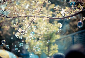 20120407-IMG_0071.jpg