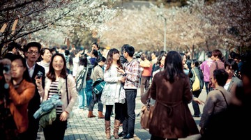 20120407-IMG_0087.jpg