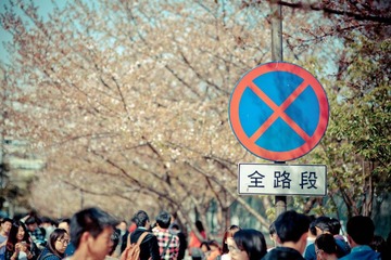 20120407-IMG_0089.jpg
