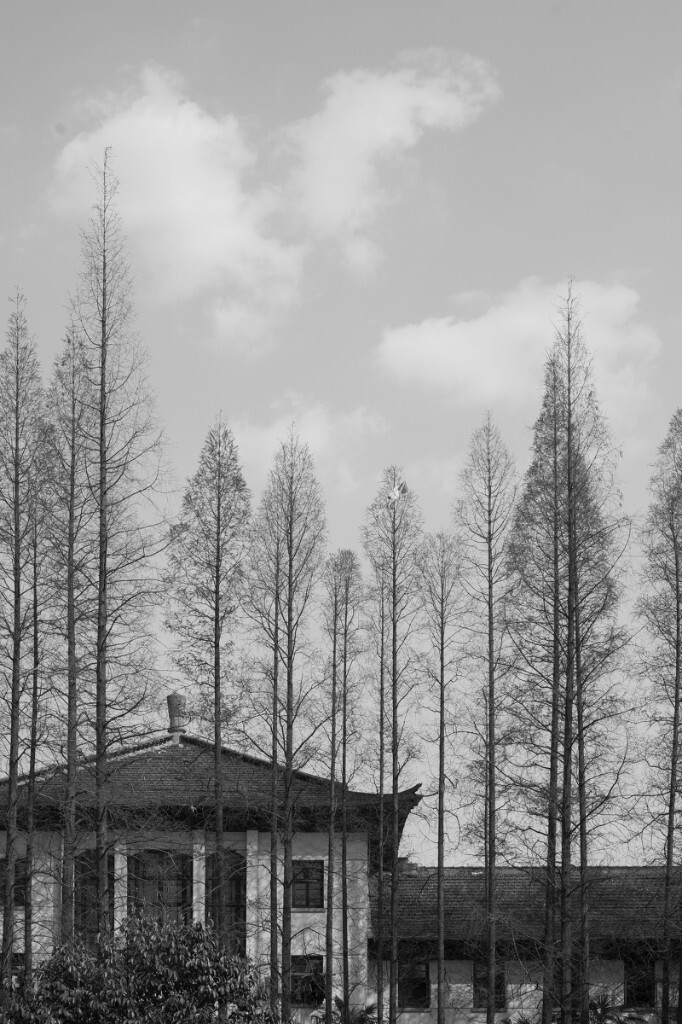 同济大学