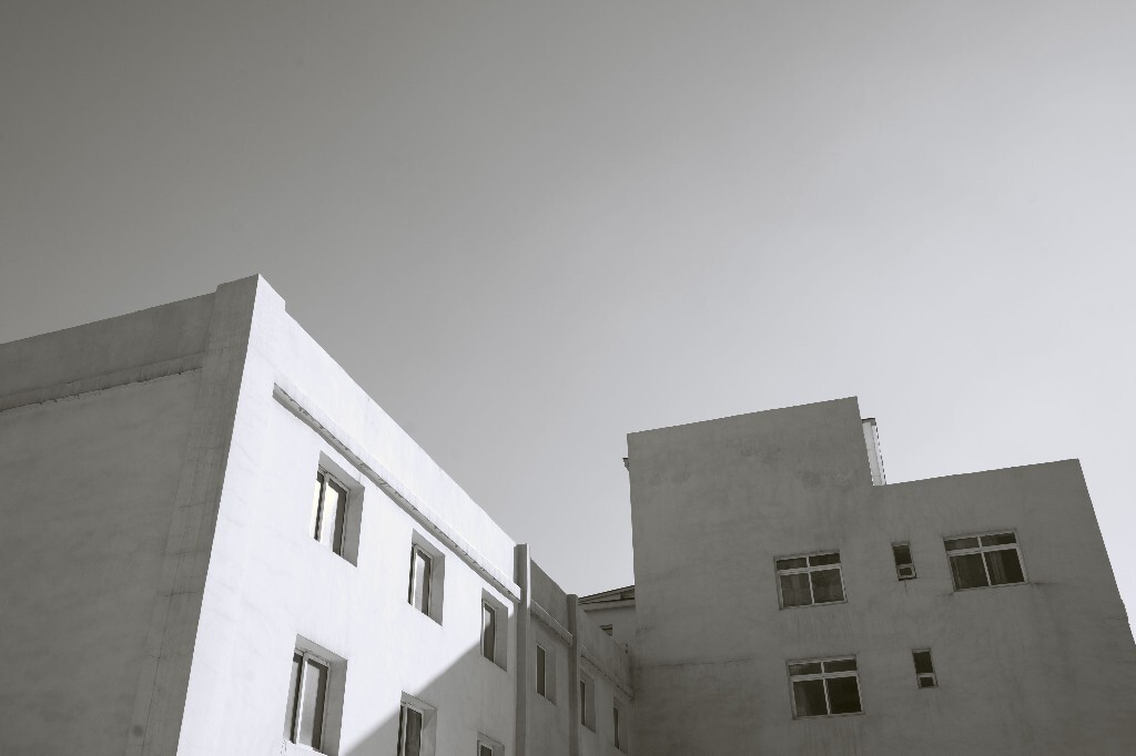 东北大学