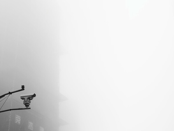 32104118.jpg