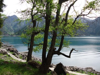 DSC01122.JPG