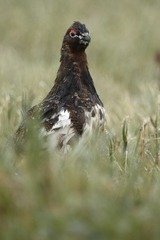 DSC00125.JPG