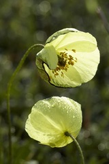 DSC00381.JPG