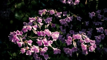 P1070316