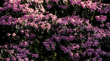 P1070317