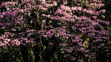 P1070318