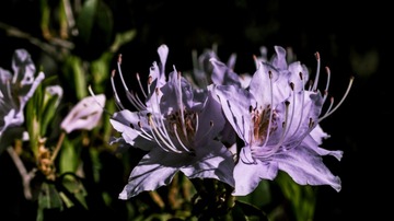 P1070356