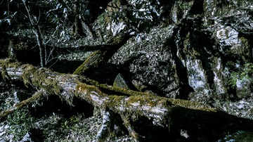 P1070364